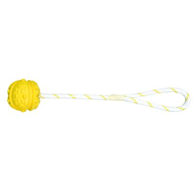 animallparadise - Jeu aquatique Balle sur corde, Dimensions: ø 4,5/35 cm, c