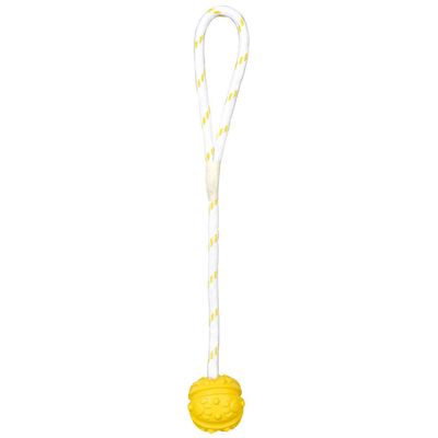 animallparadise - Jeu aquatique Balle sur corde, Dimensions: ø 4,5/35 cm, c