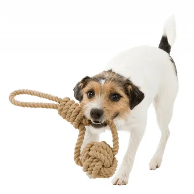 Corde de jeu avec balle tressée pour chien ø 8/35cm.