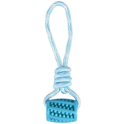 Jouet pour chien tuyau + corde à tirer en TPR 26 cm  – Flamingo