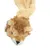 Flamingo - Jouet Lion kiki orange 56 cm pour chien