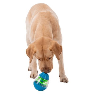 Oeuf friandise culbuto pour chien