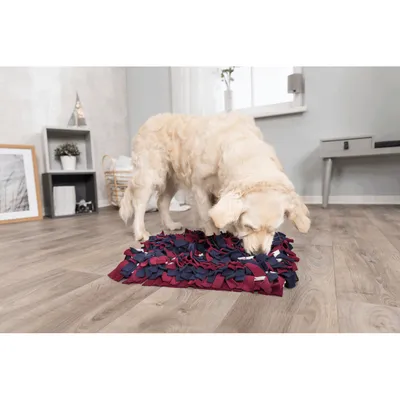 Carpet de jeu de stratégie pour chien et chat, Activity Sniffing 50 x 34cm.