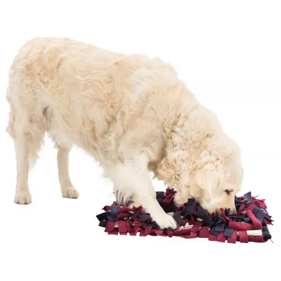 Carpet de jeu de stratégie pour chien et chat, Activity Sniffing 50 x 34cm.