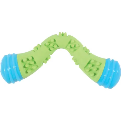 zolux - Jouet Boomerang Sunset 23 cm vert pour chien
