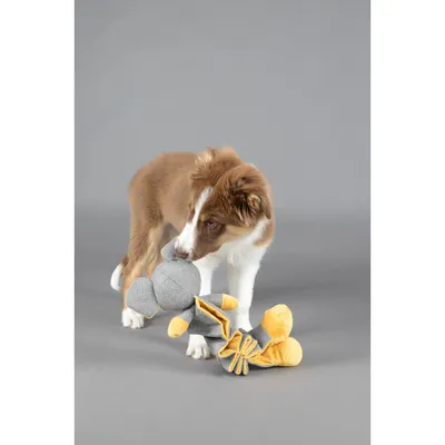 jeux Souris Folsy longueur 34 cm  pour Chiot