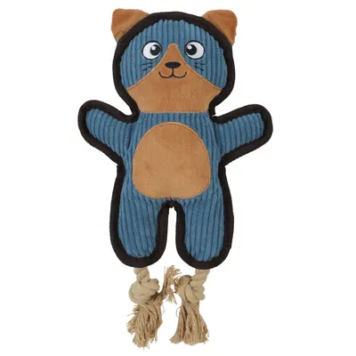 Jouet Chat   BUDDY pour chien