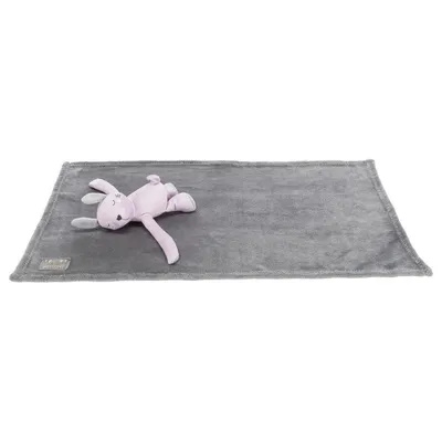 Junior set douillet, couverture et jeux pour chiots.