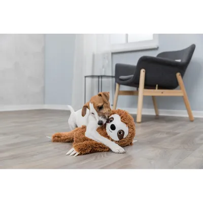animallparadise - Paresseux en peluche  hauteur 53 cm Pour chiens