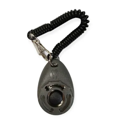 Un clicker Sporting pour chien- couleur aléatoire