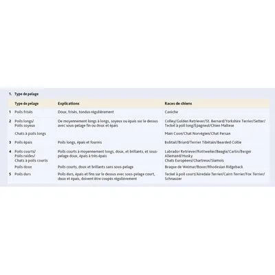 Ciseaux professionnels de tonte 20 cm