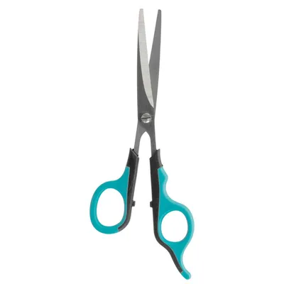 Ciseaux de 16 cm pour animaux.