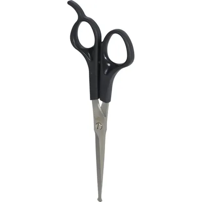 zolux - Ciseaux droit 16.8 cm pour chiens