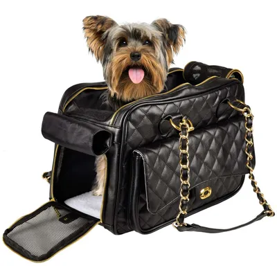 Sac de transport GIGI  40 x 22 x 28 cm pour petit chien max 5 kg