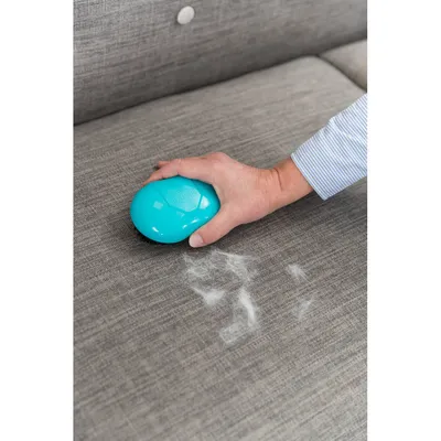 Brosse textile et d'ameublement, élimination des poils d'animaux