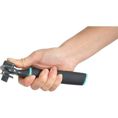 Etrille retractable 18 dents pour chiens.