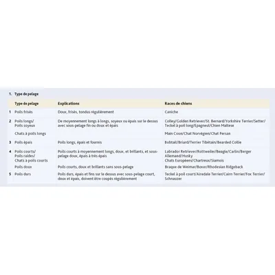 animallparadise - Brosse double face plastique 5 x 19 cm pour chat et chien