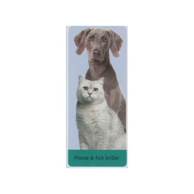 Brosse en bois 5 x 21 cm, pour chien