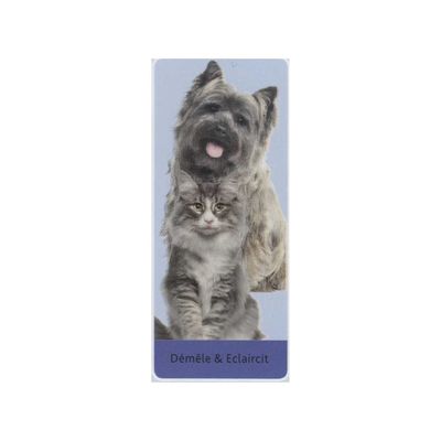 Brosse carde 8 x 14 cm pour chien