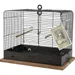 Cage RETRO CELESTINE. 41 x 31 x hauteur 48 cm. pour oiseaux.