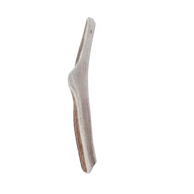 zolux - Bâton à mâcher Bois de Cerf Tranché Easy S, environ 15 cm