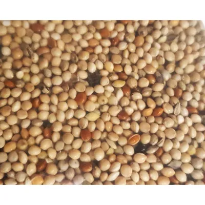 zolux - Graines oiseaux exotiques 800 g pour oiseaux