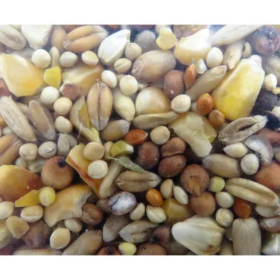 Graines mélange premium décortiqué 2.5 kg pour oiseaux