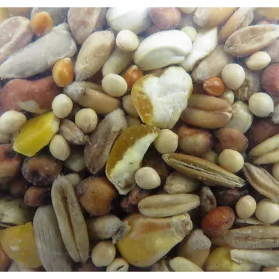 Graines mélange premium décortiqué 2.5 kg pour oiseaux