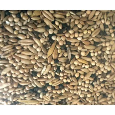 zolux - Graines pour canaris sac de 800 g pour oiseaux