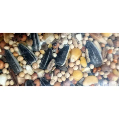 Graines nourriture mélange premium riche en millet 2.5 kg pour oiseaux