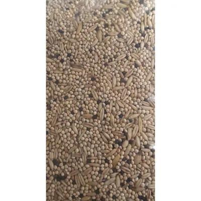 Graines pour perruches sac de 3 kg pour oiseaux