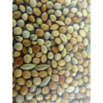 Graines, alimentation oiseaux exotique nutrimeal - 12Kg