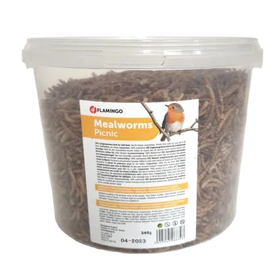 Vers de farine séchés PickNick seau de 540 g pour oiseaux