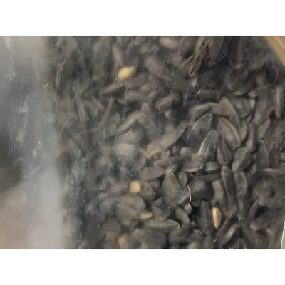 Tournesol  graine pour oiseaux de jardin sac 4.5 kg