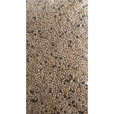 Graines pour perruches sac de 800 g pour oiseaux