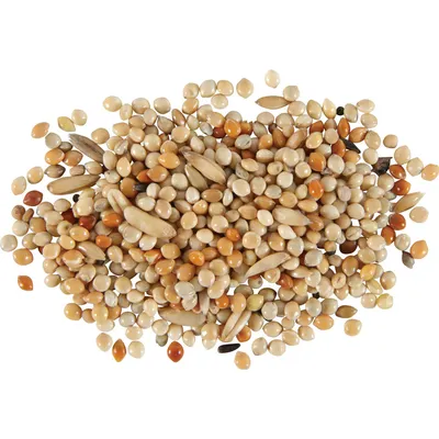 zolux - Graines pour perruches nutrimeal 800g