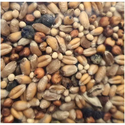Graines pour tourterelle sac de 800g pour oiseaux