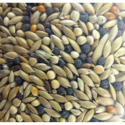 animallparadise - Graines canari, nutrimeal - 12kg pour oiseaux