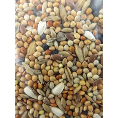 Graines grandes perruches nutrimeal - 12kg.