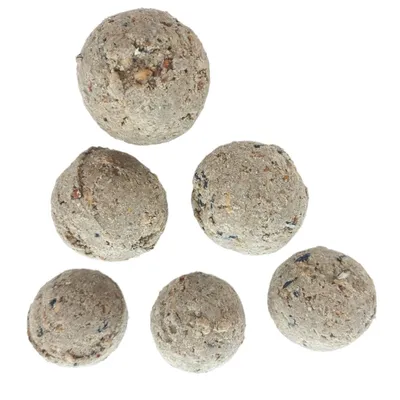 6 Boules de graisse de 90 gr toutes saisons pour oiseaux