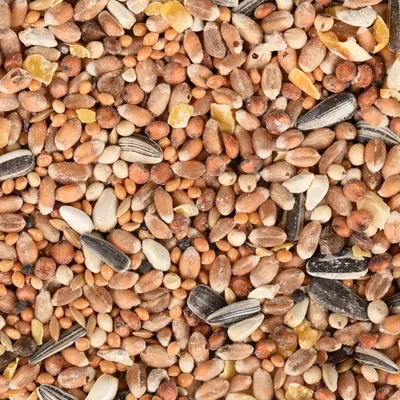 Mélange de graines toutes saisons pour oiseaux sac de 2.5 kg