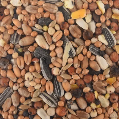 Mélange de graines toutes saisons pour oiseaux sac de 1 kg