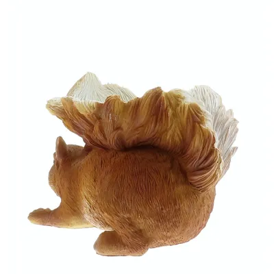 animallparadise - Mangeoire forme écureuil, hauteur 12 cm, oiseaux