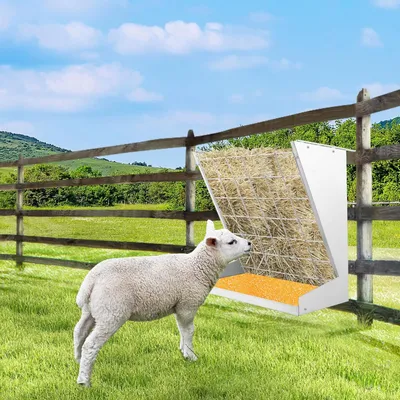 GIANTEX Mangeoire à Foin Murale en Métal Galvanisé, Distributeur de Foin