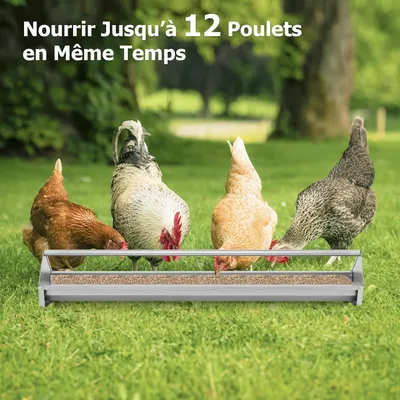 GIANTEX Mangeoire à Poulet en Métal Galvanisé, avec Barre Transversale