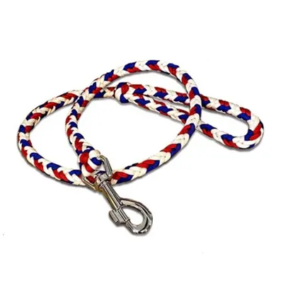 FranceCroquettes Laisses artisanales "chevron"