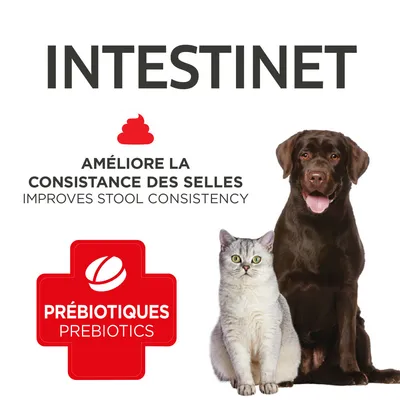 Francodex - Intestinet 45 Comprimés Pour Chiens et Chats