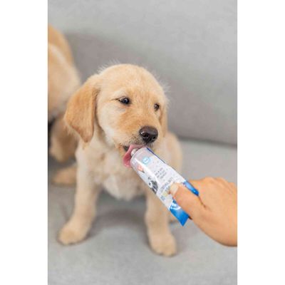 Junior Pâté de foie tube de 75 g pour chiots