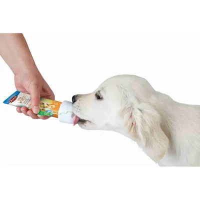 Protège tube des snacks en tube  ø 5 × 6,5 cm pour chien