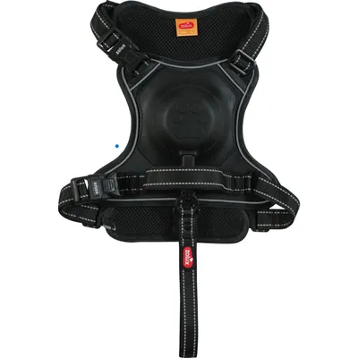 zolux - Harnais et laisse enrouleur intégré M  pour chien max 33 kg